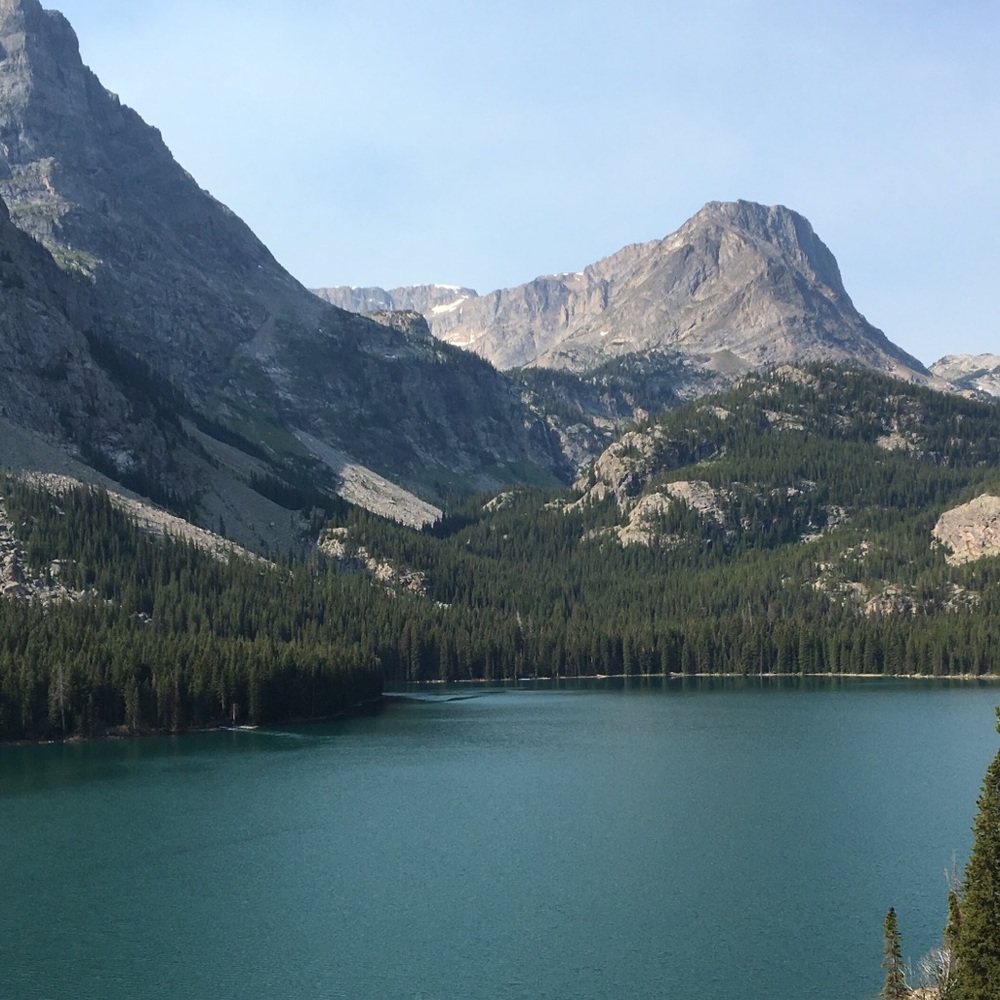 Meet your Posher, Afton